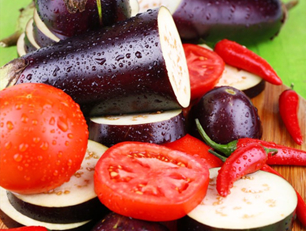 酵素農業技術：酵素菌肥在反季節茄果類蔬菜病害防治上的應用
